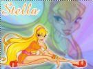 Galerie specială - catalinad05 - Stella