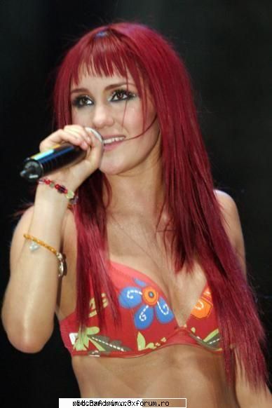 galerie *Dulce Maria* - iepuras - Diverse